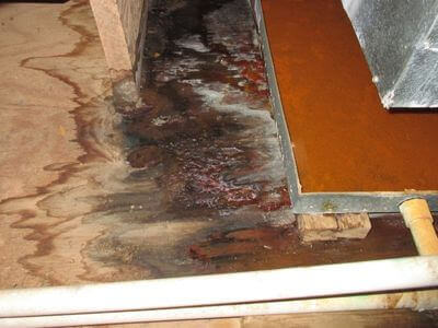 About water damage restoration service - basement flood restoration services experts in Universal